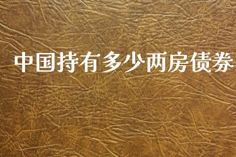 中国持有多少两房债券_https://wap.78312.cn_债券资讯_第1张