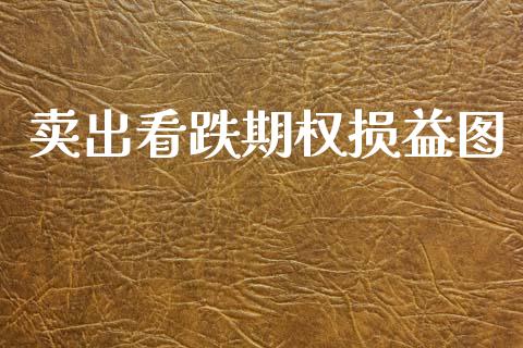 卖出看跌期权损益图_https://wap.78312.cn_期货开户_第1张