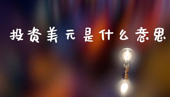 投资美元是什么意思_https://wap.78312.cn_期货开户_第1张