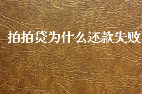 拍拍贷为什么还款失败_https://wap.78312.cn_外汇交易_第1张
