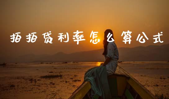 拍拍贷利率怎么算公式_https://wap.78312.cn_债券资讯_第1张