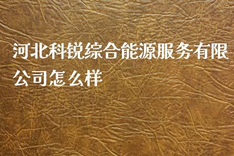 河北科锐综合能源服务有限公司怎么样_https://wap.78312.cn_债券资讯_第1张