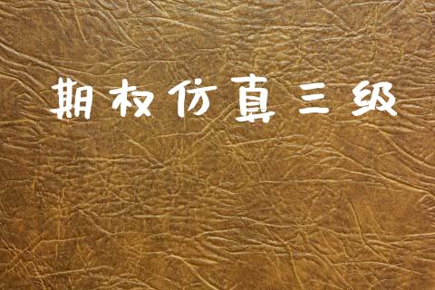 期权仿真三级_https://wap.78312.cn_金融监管_第1张