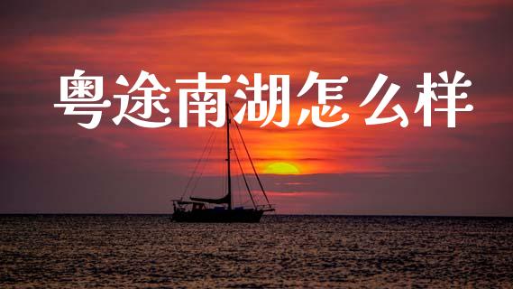 粤途南湖怎么样_https://wap.78312.cn_债券资讯_第1张