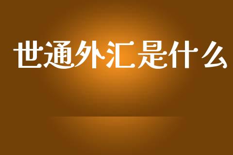 世通外汇是什么_https://wap.78312.cn_外汇交易_第1张
