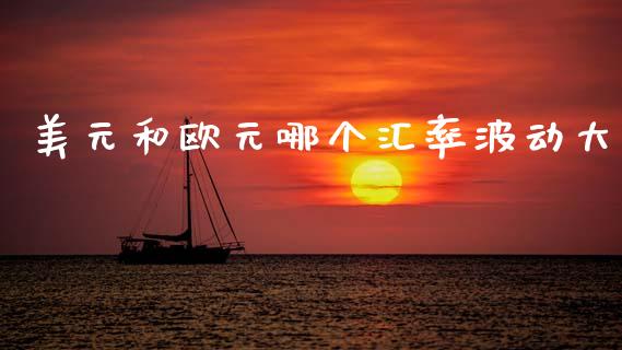 美元和欧元哪个汇率波动大_https://wap.78312.cn_金融监管_第1张