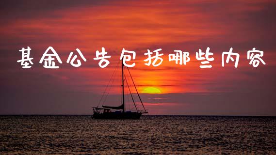基金公告包括哪些内容_https://wap.78312.cn_外汇交易_第1张