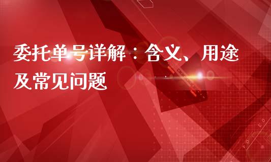 委托单号详解：含义、用途及常见问题_https://wap.78312.cn_金融监管_第1张