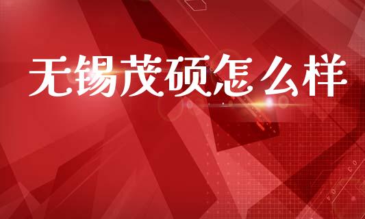 无锡茂硕怎么样_https://wap.78312.cn_外汇交易_第1张