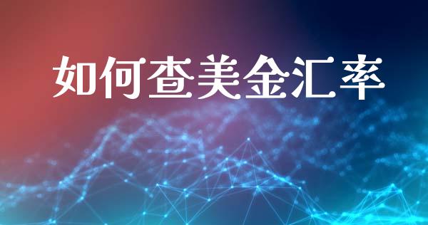 如何查美金汇率_https://wap.78312.cn_债券资讯_第1张
