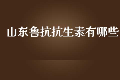 山东鲁抗抗生素有哪些_https://wap.78312.cn_期货开户_第1张