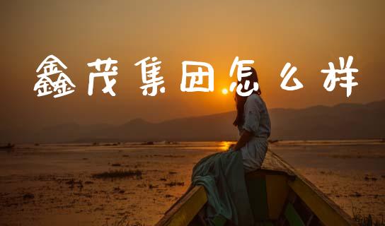鑫茂集团怎么样_https://wap.78312.cn_财经新闻_第1张