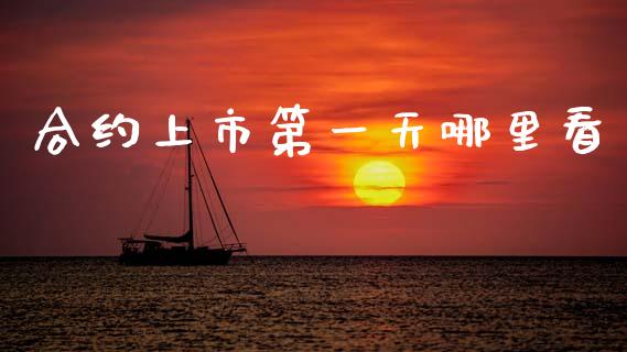合约上市第一天哪里看_https://wap.78312.cn_财经新闻_第1张