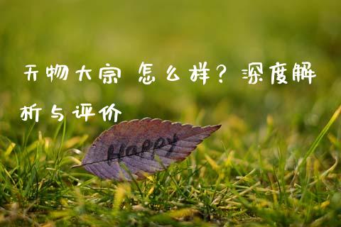 天物大宗 怎么样？深度解析与评价_https://wap.78312.cn_债券资讯_第1张