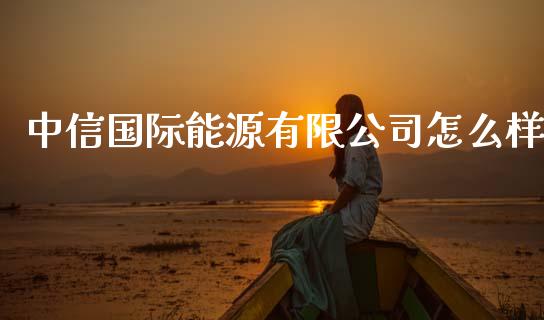 中信国际能源有限公司怎么样_https://wap.78312.cn_外汇交易_第1张