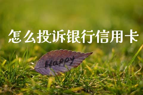 怎么投诉银行信用卡_https://wap.78312.cn_外汇交易_第1张