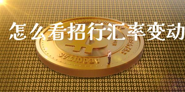 怎么看招行汇率变动_https://wap.78312.cn_全球市场_第1张