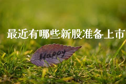 最近有哪些新股准备上市_https://wap.78312.cn_财经新闻_第1张