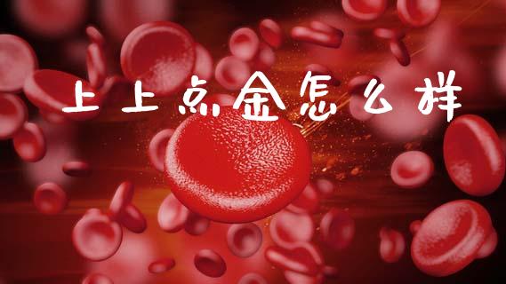 上上点金怎么样_https://wap.78312.cn_金融监管_第1张