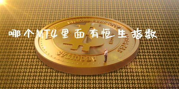 哪个MT4里面有恒生指数_https://wap.78312.cn_外汇交易_第1张