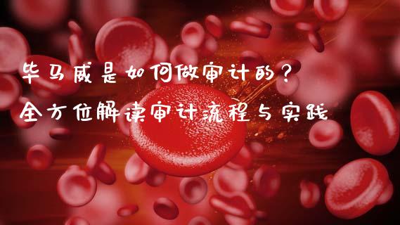 毕马威是如何做审计的？ 全方位解读审计流程与实践_https://wap.78312.cn_财经新闻_第1张