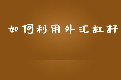 如何利用外汇杠杆_https://wap.78312.cn_外汇交易_第1张