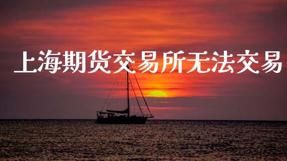 上海期货交易所无法交易_https://wap.78312.cn_期货开户_第1张
