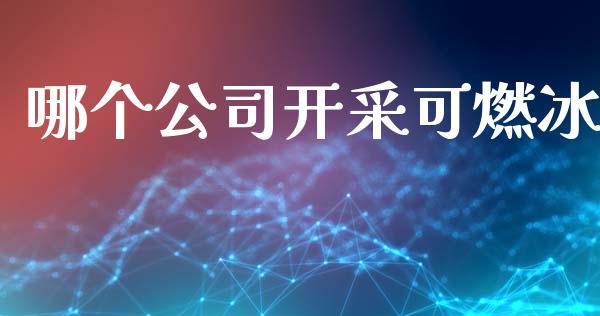 哪个公司开采可燃冰_https://wap.78312.cn_债券资讯_第1张