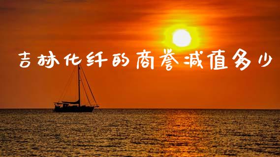 吉林化纤的商誉减值多少_https://wap.78312.cn_全球市场_第1张
