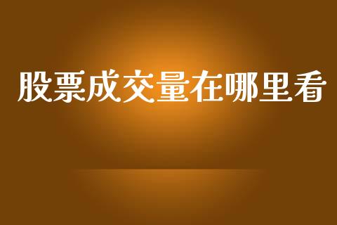 股票成交量在哪里看_https://wap.78312.cn_金融监管_第1张