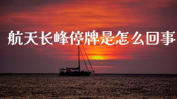 航天长峰停牌是怎么回事_https://wap.78312.cn_全球市场_第1张