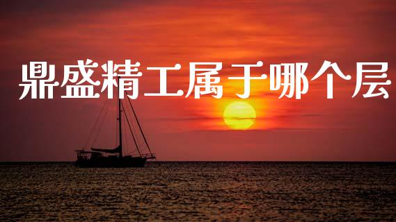 鼎盛精工属于哪个层_https://wap.78312.cn_债券资讯_第1张