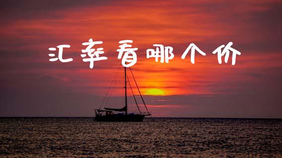 汇率看哪个价_https://wap.78312.cn_全球市场_第1张