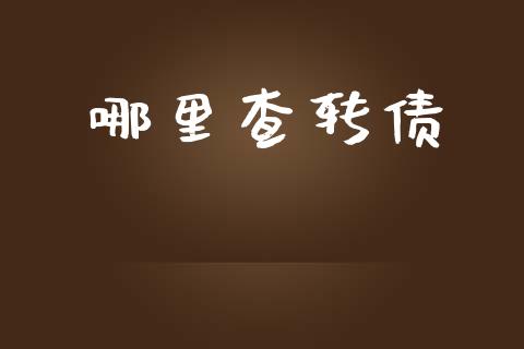 哪里查转债_https://wap.78312.cn_金融监管_第1张