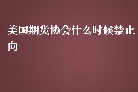 美国期货协会什么时候禁止向_https://wap.78312.cn_外汇交易_第1张