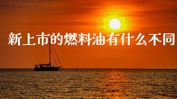 新上市的燃料油有什么不同_https://wap.78312.cn_金融监管_第1张