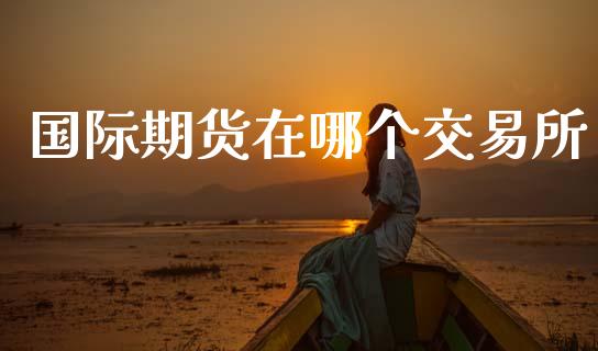 国际期货在哪个交易所_https://wap.78312.cn_外汇交易_第1张