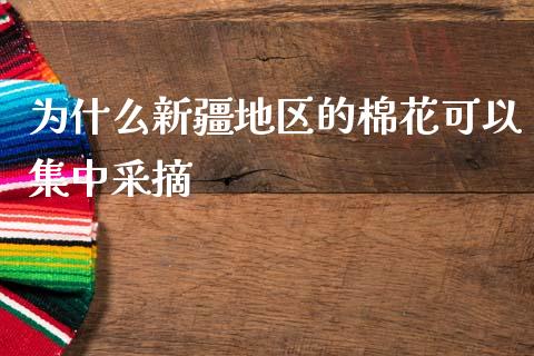 为什么新疆地区的棉花可以集中采摘_https://wap.78312.cn_全球市场_第1张