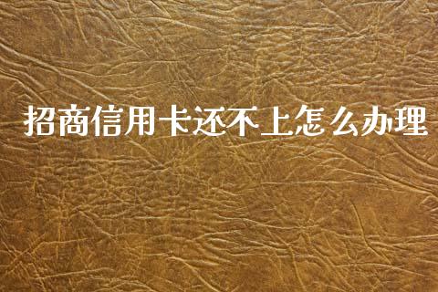招商信用卡还不上怎么办理_https://wap.78312.cn_债券资讯_第1张