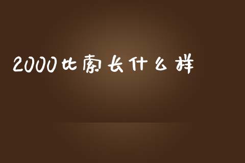 2000比索长什么样_https://wap.78312.cn_债券资讯_第1张