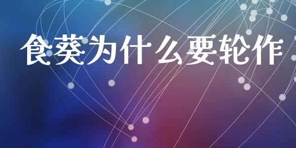 食葵为什么要轮作_https://wap.78312.cn_期货开户_第1张