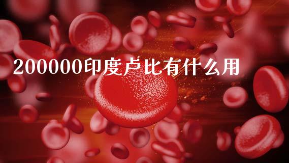 200000印度卢比有什么用_https://wap.78312.cn_金融监管_第1张