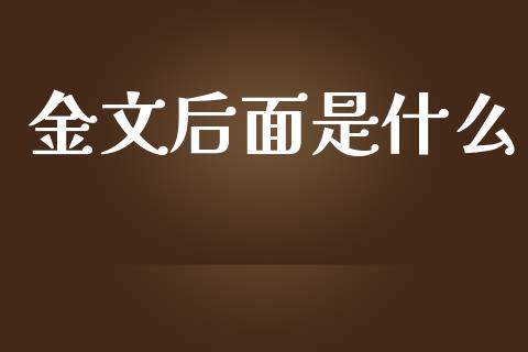 金文后面是什么_https://wap.78312.cn_外汇交易_第1张