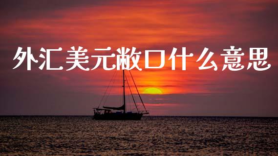 外汇美元敝口什么意思_https://wap.78312.cn_外汇交易_第1张