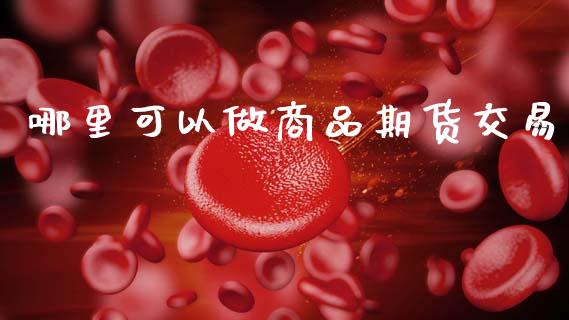 哪里可以做商品期货交易_https://wap.78312.cn_财经新闻_第1张