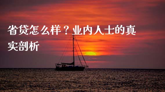 省贷怎么样？业内人士的真实剖析_https://wap.78312.cn_财经新闻_第1张