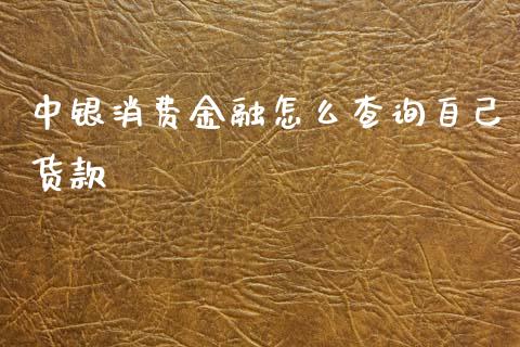 中银消费金融怎么查询自己货款_https://wap.78312.cn_期货开户_第1张
