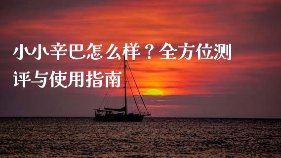 小小辛巴怎么样？全方位测评与使用指南_https://wap.78312.cn_财经新闻_第1张