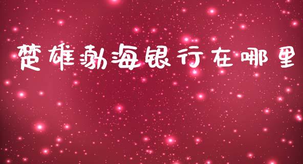 楚雄渤海银行在哪里_https://wap.78312.cn_财经新闻_第1张