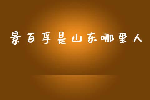 景百孚是山东哪里人_https://wap.78312.cn_金融监管_第1张